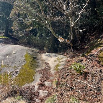 ここから若杉山へ