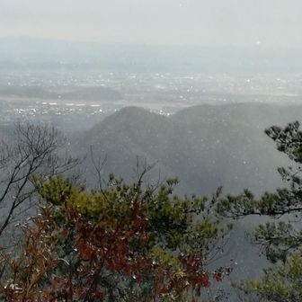 ひぃ～、風強いし
居られんわ、帰ろ