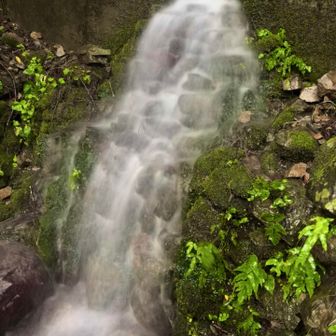 病院裏に下山