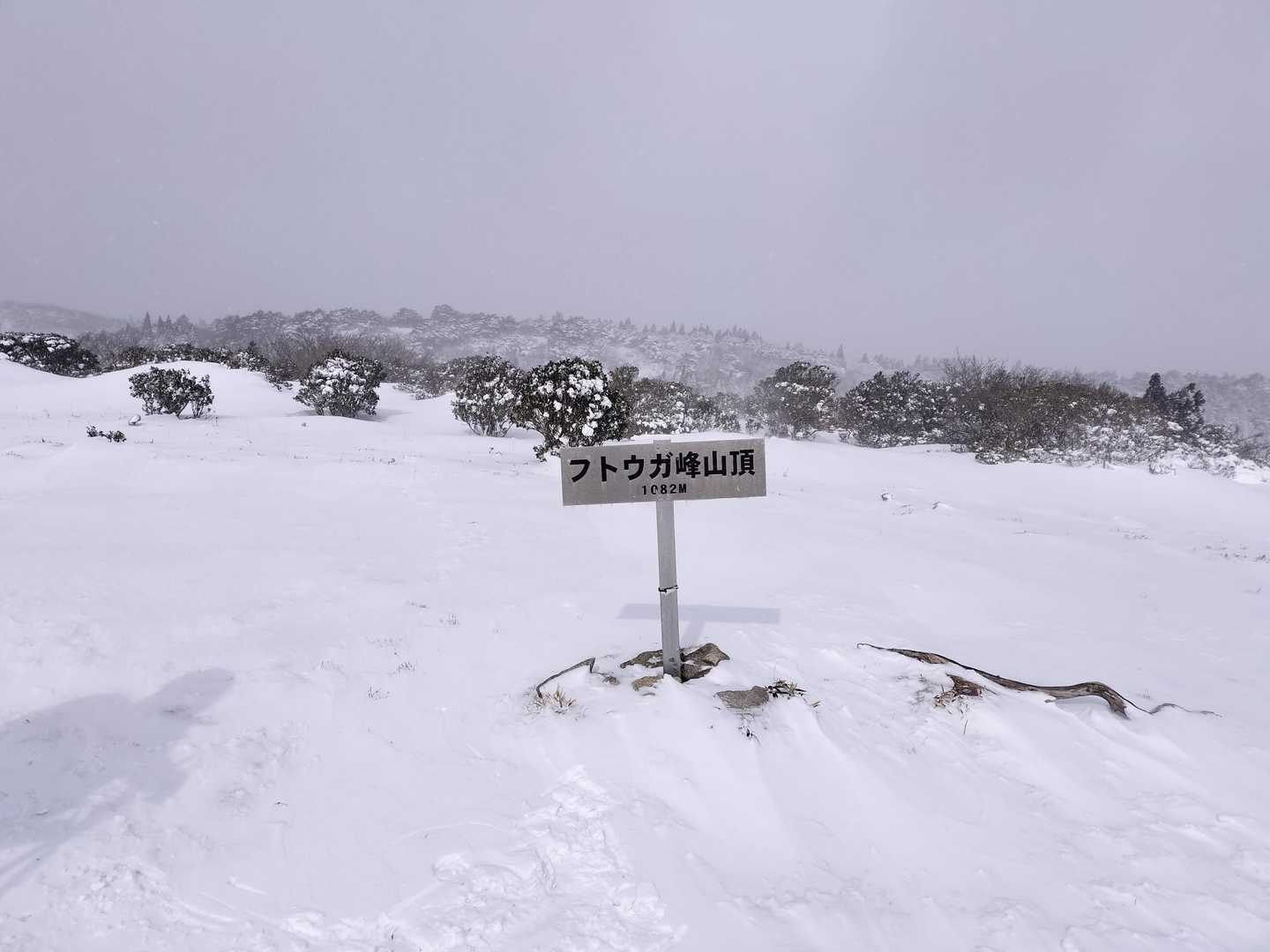 フトウガ峰。吹雪いています。