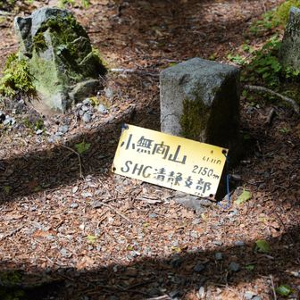 もう下山したい気持ちが30パーセント