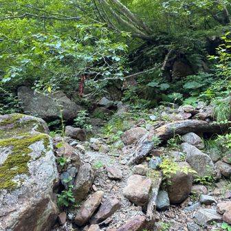 左手を進みます
急登の始まり