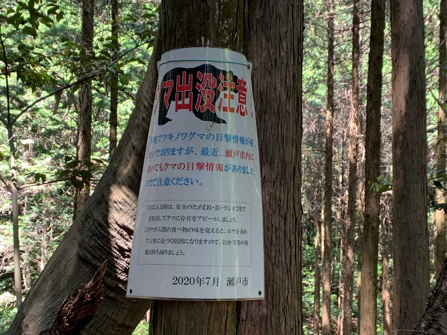 ここも🐻出る⁉︎