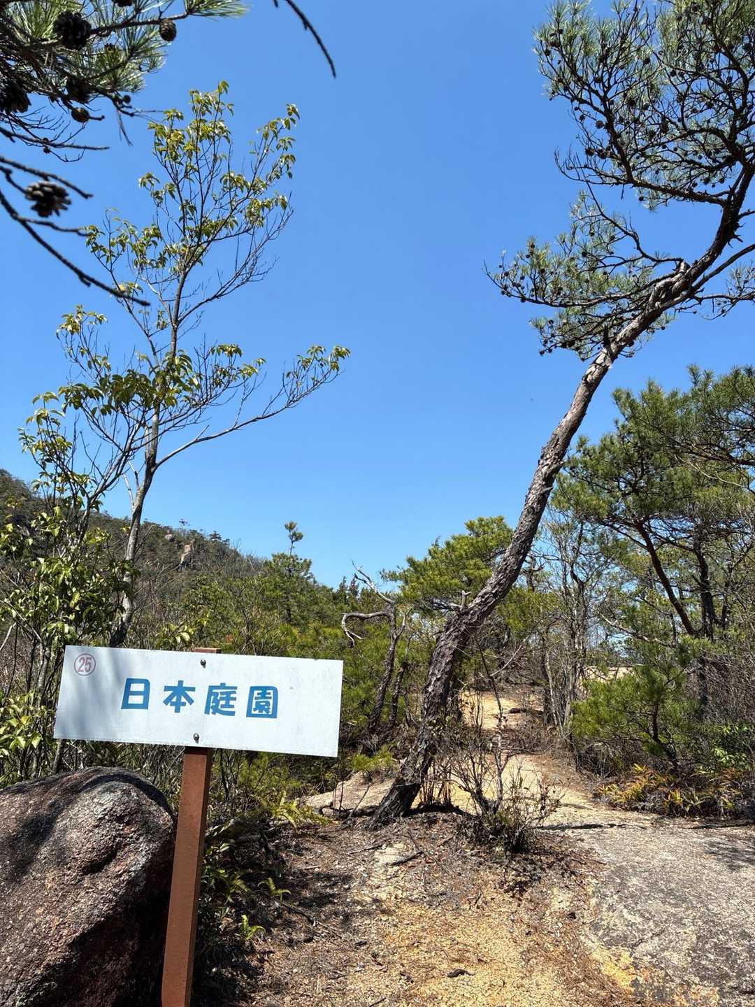 日本庭園と名乗るほどではないんと思うのだが🤔
