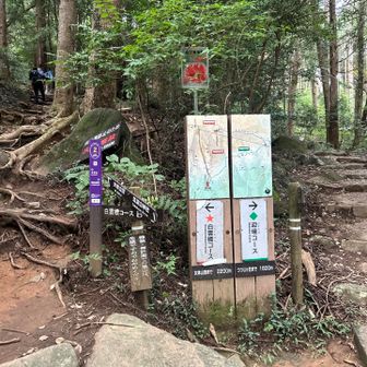 白雲橋と迎場コースの分岐