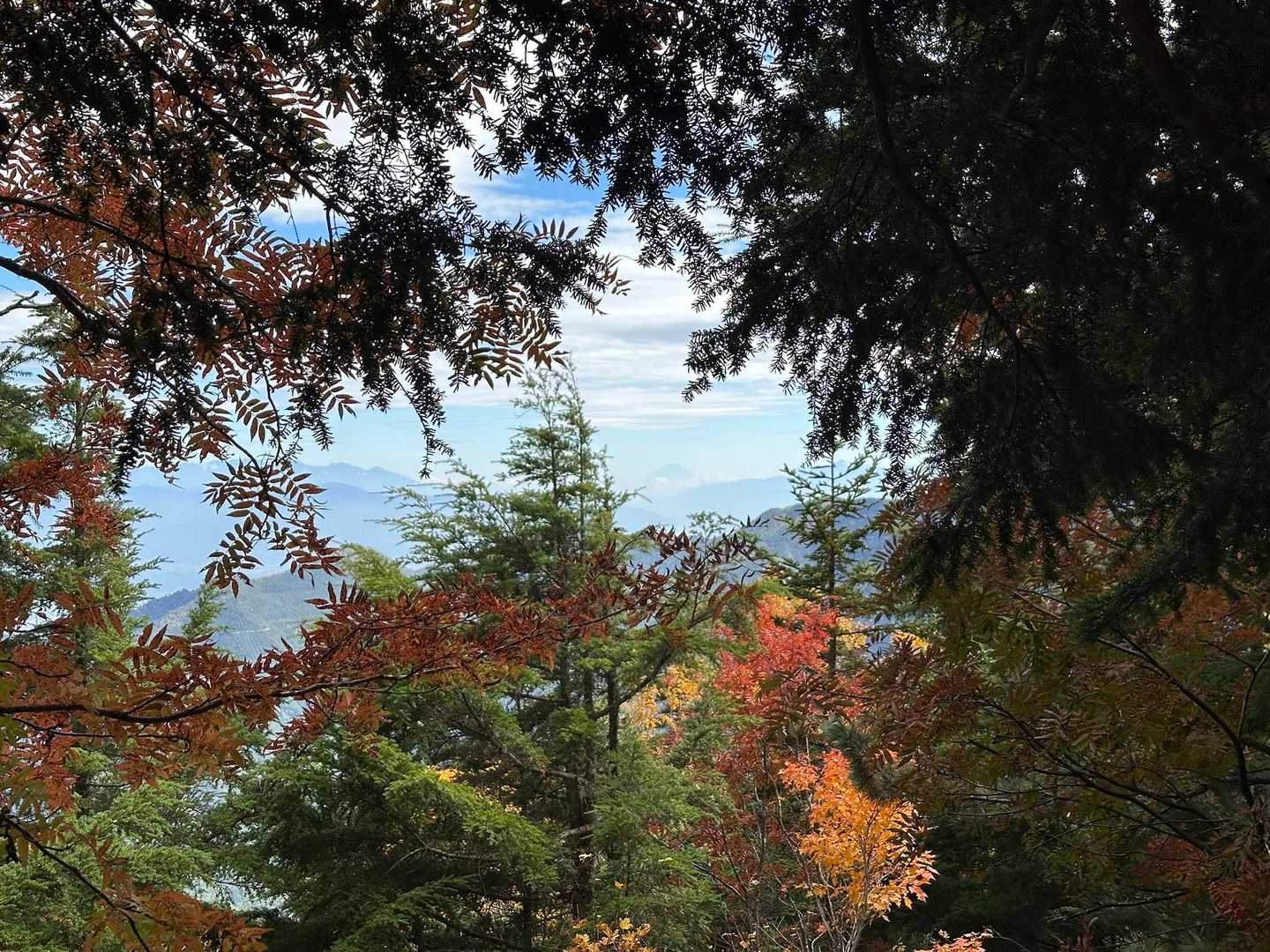 紅葉と富士山