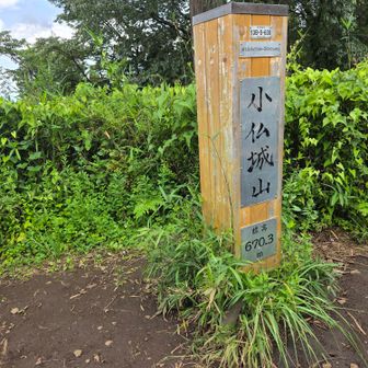 城山山頂