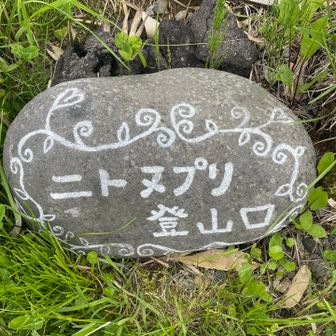 今度きますね☺️