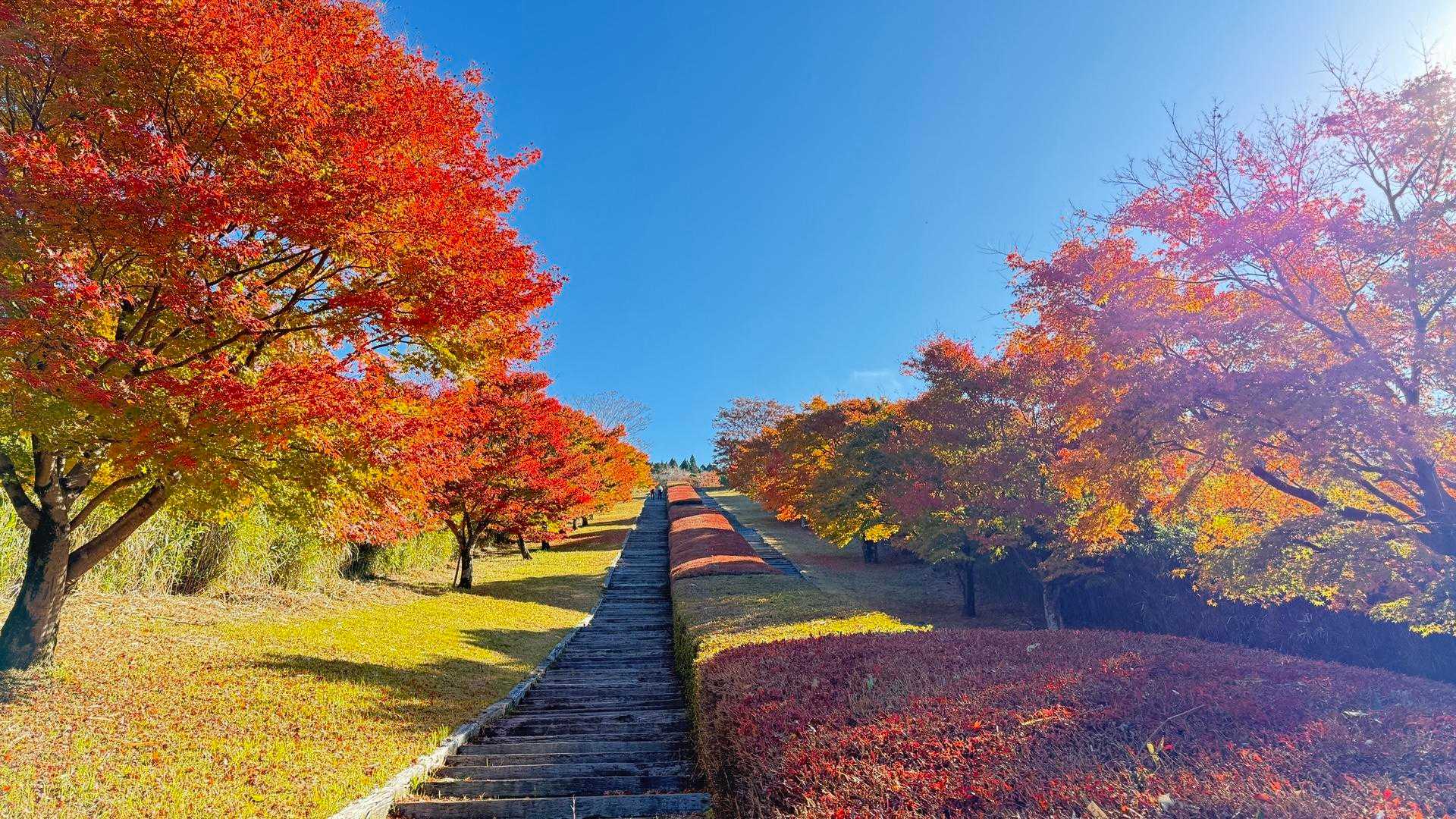 栗野岳第2峰-栗野岳 往復コースの写真