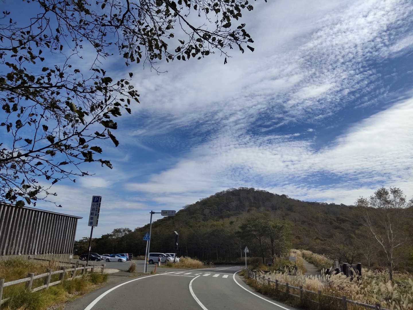めちゃ晴天☀️