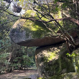 鬼の差上げ岩🪨を、