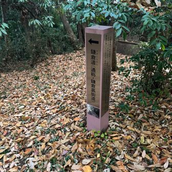 ⬅️ちょっとわからなかった