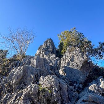 立派な岩！笑
岩が尖ってるから
手をつくと痛い。