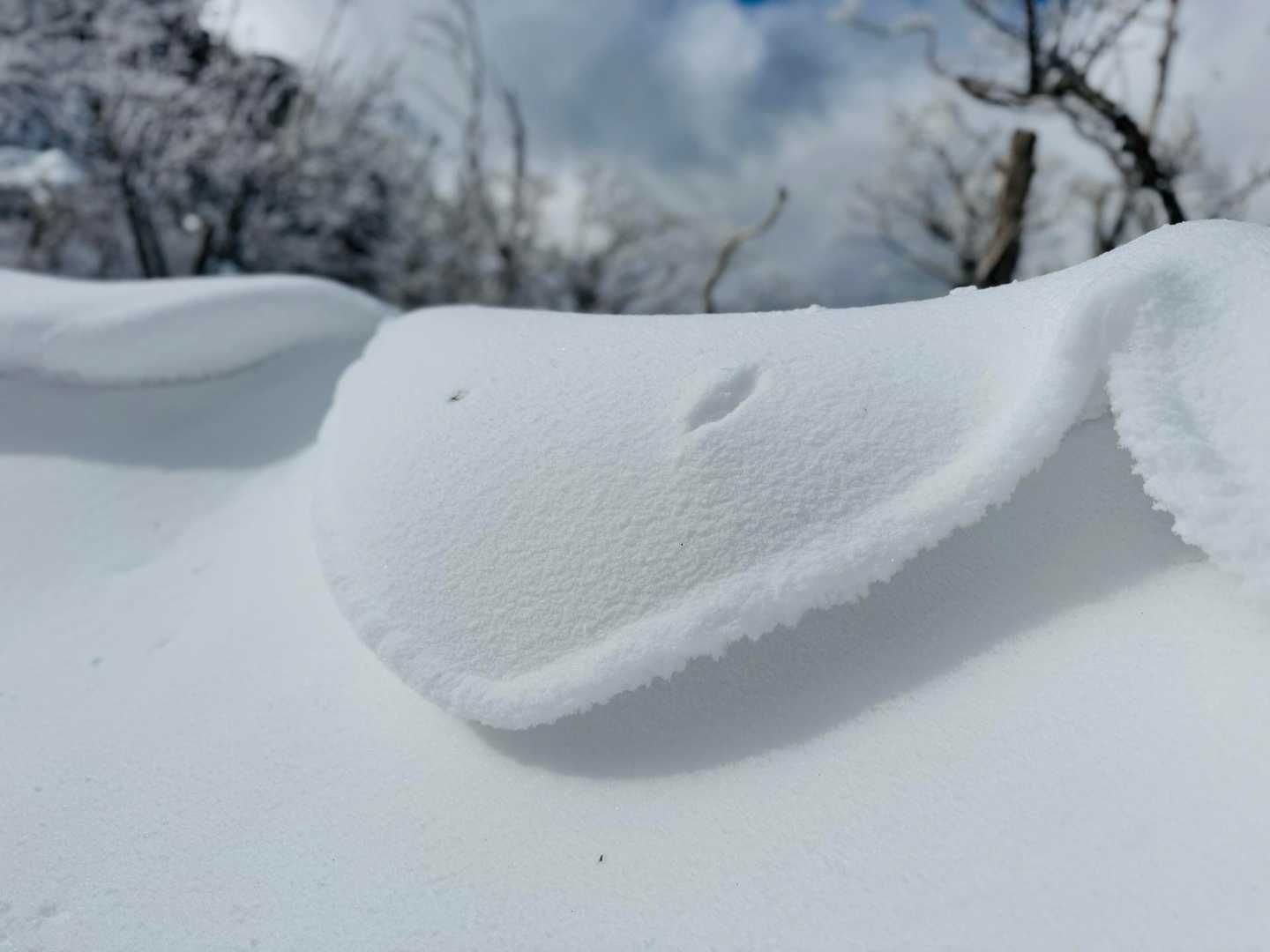 雪庇⸜❄️⸝