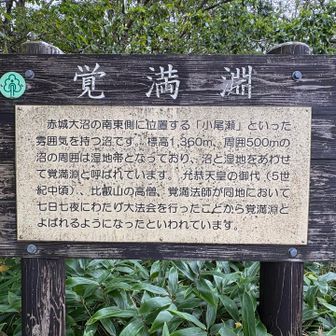 沼の周囲５００ｍは湿地帯となっていて、沼と湿地を合わせて覚満淵
比叡山の高僧、覚満法師が大法会行ったのが地名の由来
