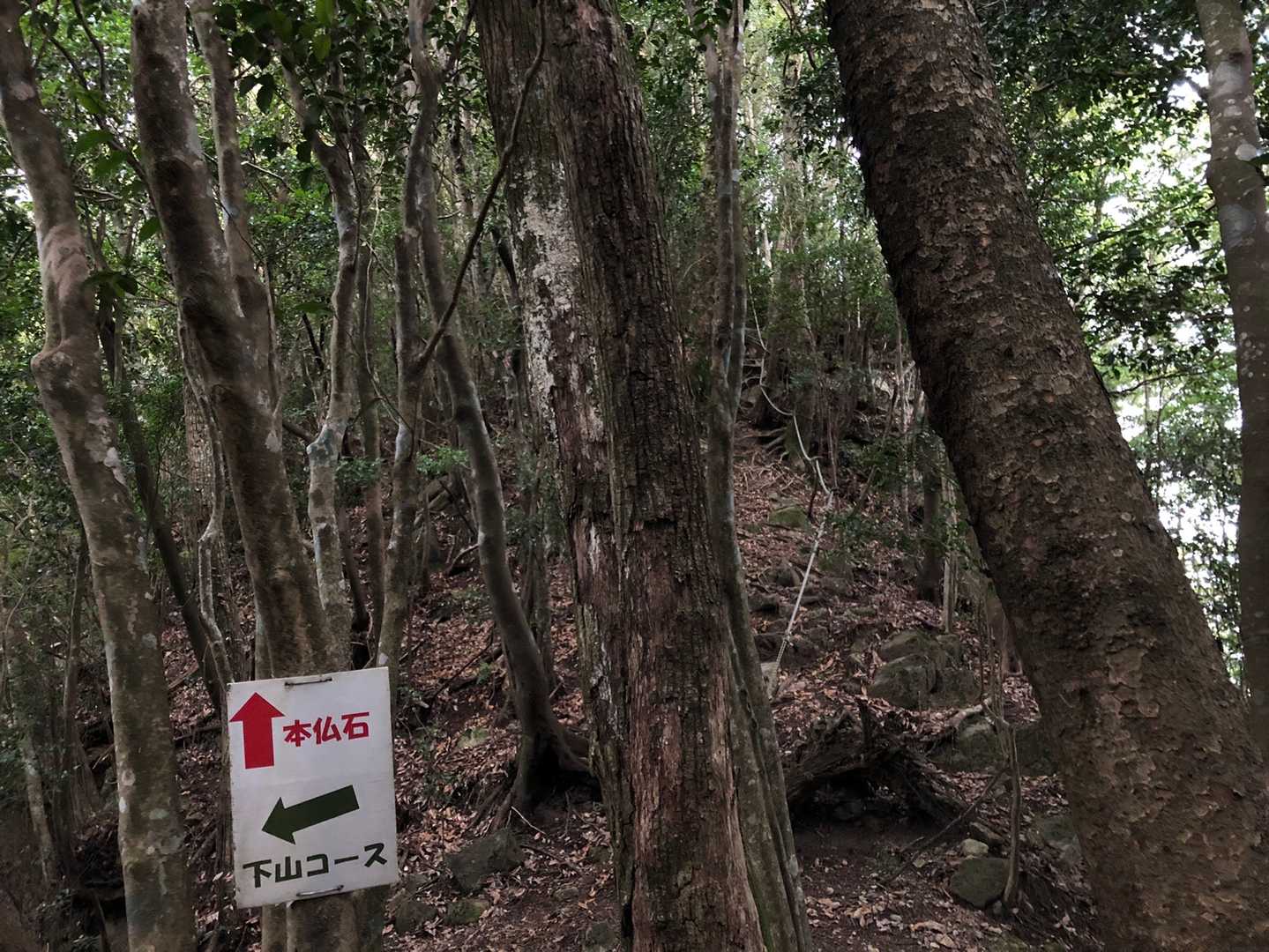 本仏石へ👉
こちらも急登→急降が💦