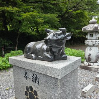 そして🐃牛
😅