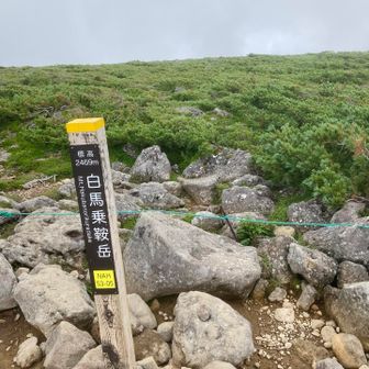 白馬乗鞍へ