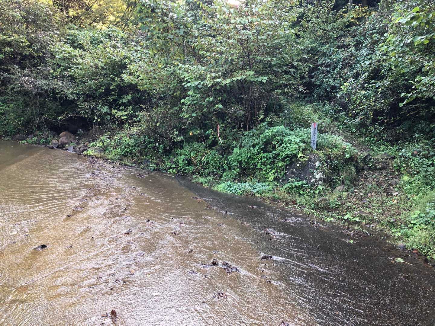 登山口
登山口まではアスファルト😊
暴風雨🌀の後は道路に落石が落ちてる可能性があるので天気を見ながらの⛰️
登山口横に🅿️5台ほどスペースがあります👍
写真は登山口横の小川の暗渠が詰まって？溢れてる😨
