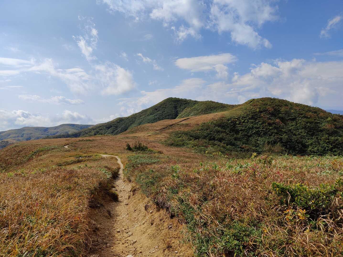 金剛堂山の写真