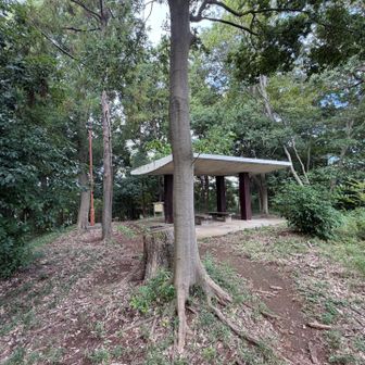 愛宕山山頂の東屋が見えました