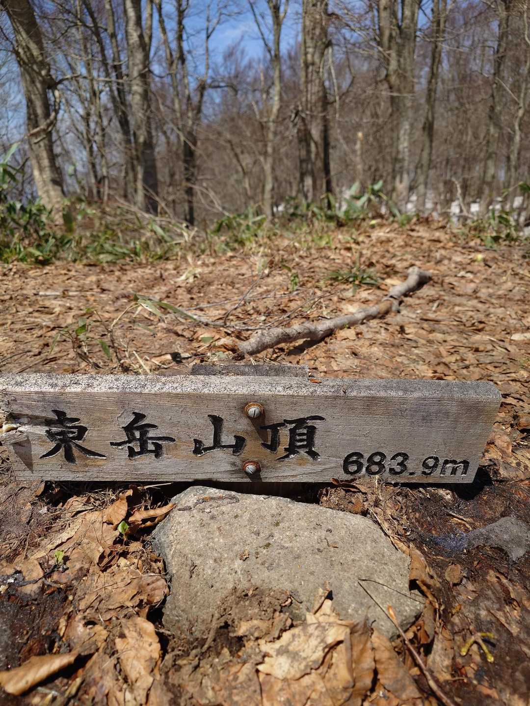 東岳 往復コースの写真