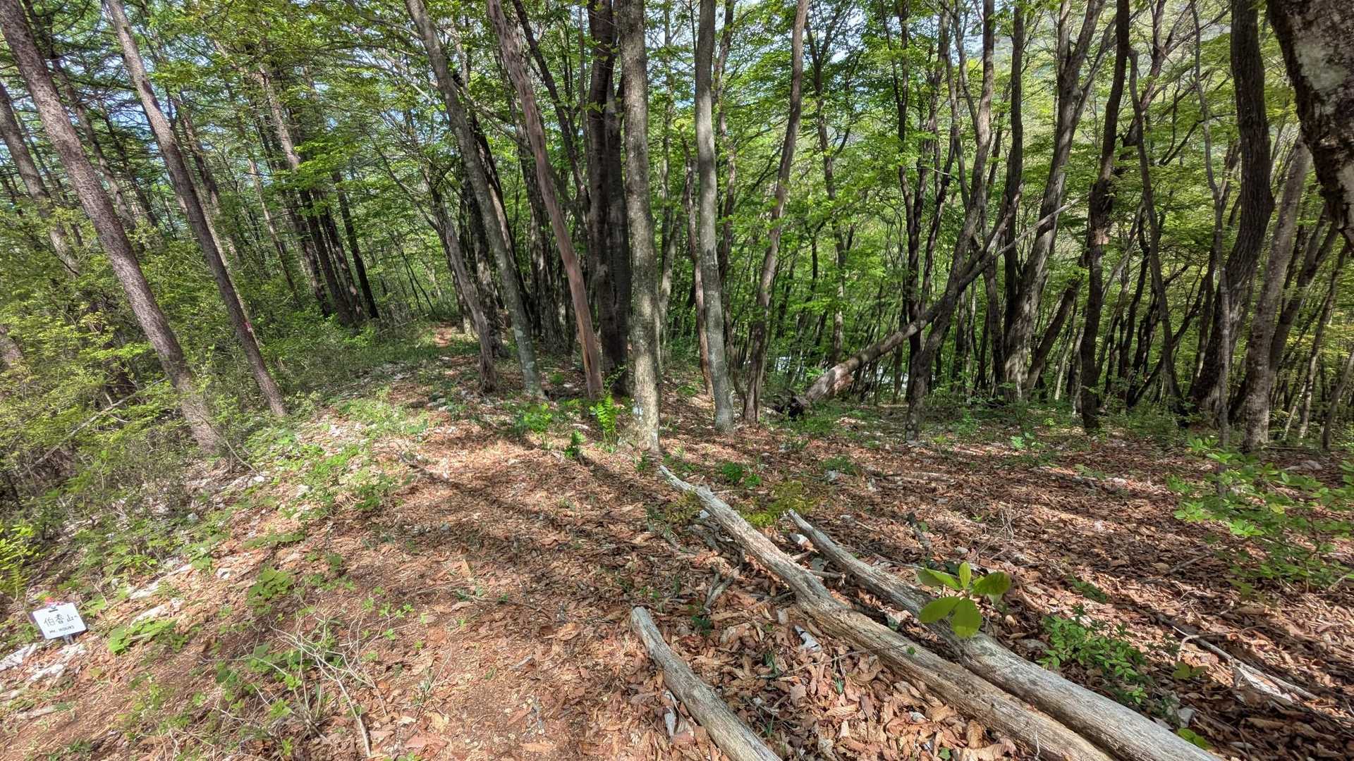 後は駐車場まで戻るだけ
そして、無事に下山✨