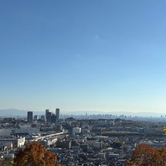 しおんじ山からの眺め