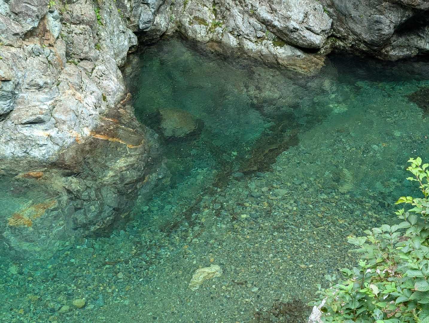 透き通った沢