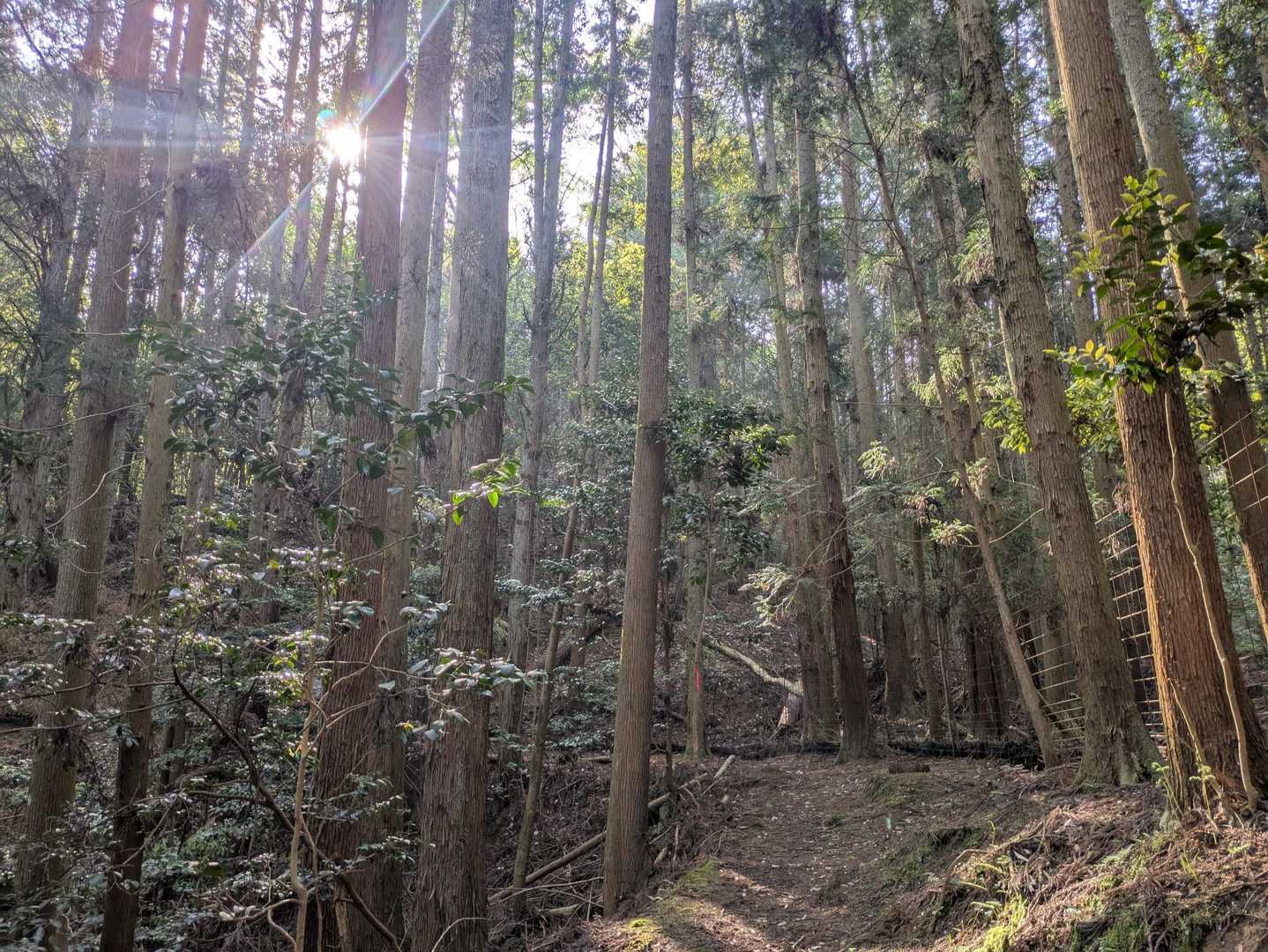 はぁ〜✨美しい🥰