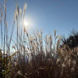 日が傾きだしたので