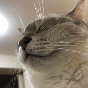 かう