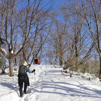 山頂見えたーっ。