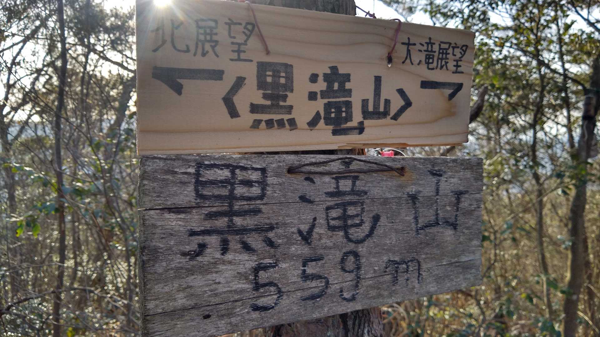 しろやぎさんから
おてがみついた📩