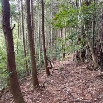 風も無く薄着で大丈夫🙆