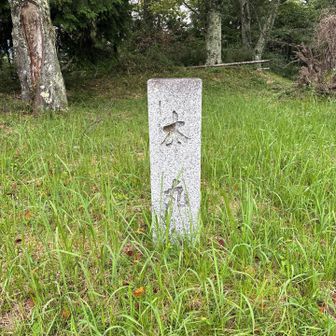 本丸。素朴な疑問だけど、一ノ丸とは言わないのだろうか…？