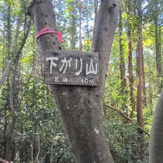 下がり山北峰
