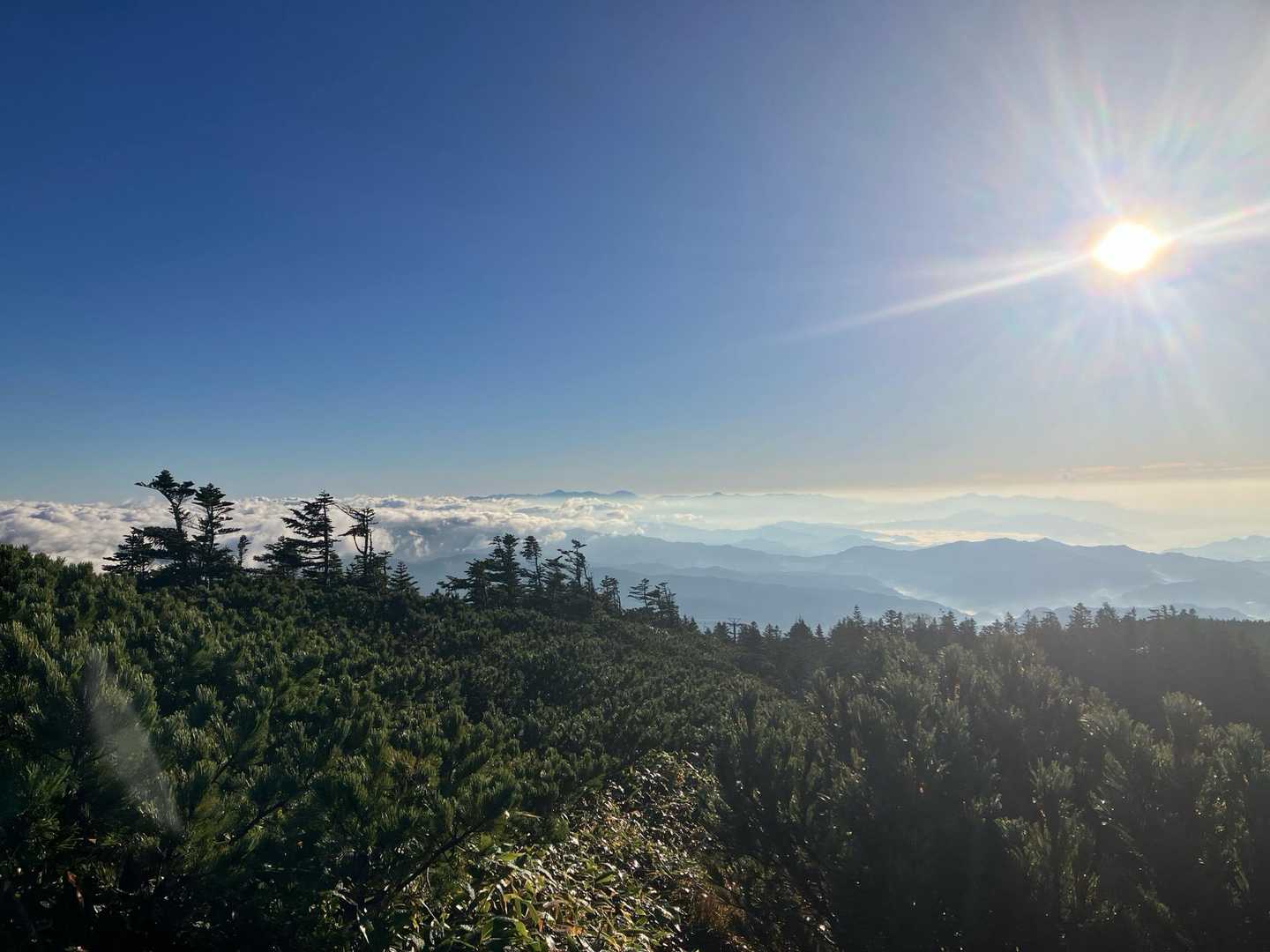 山頂からの眺め、最高やん‼️