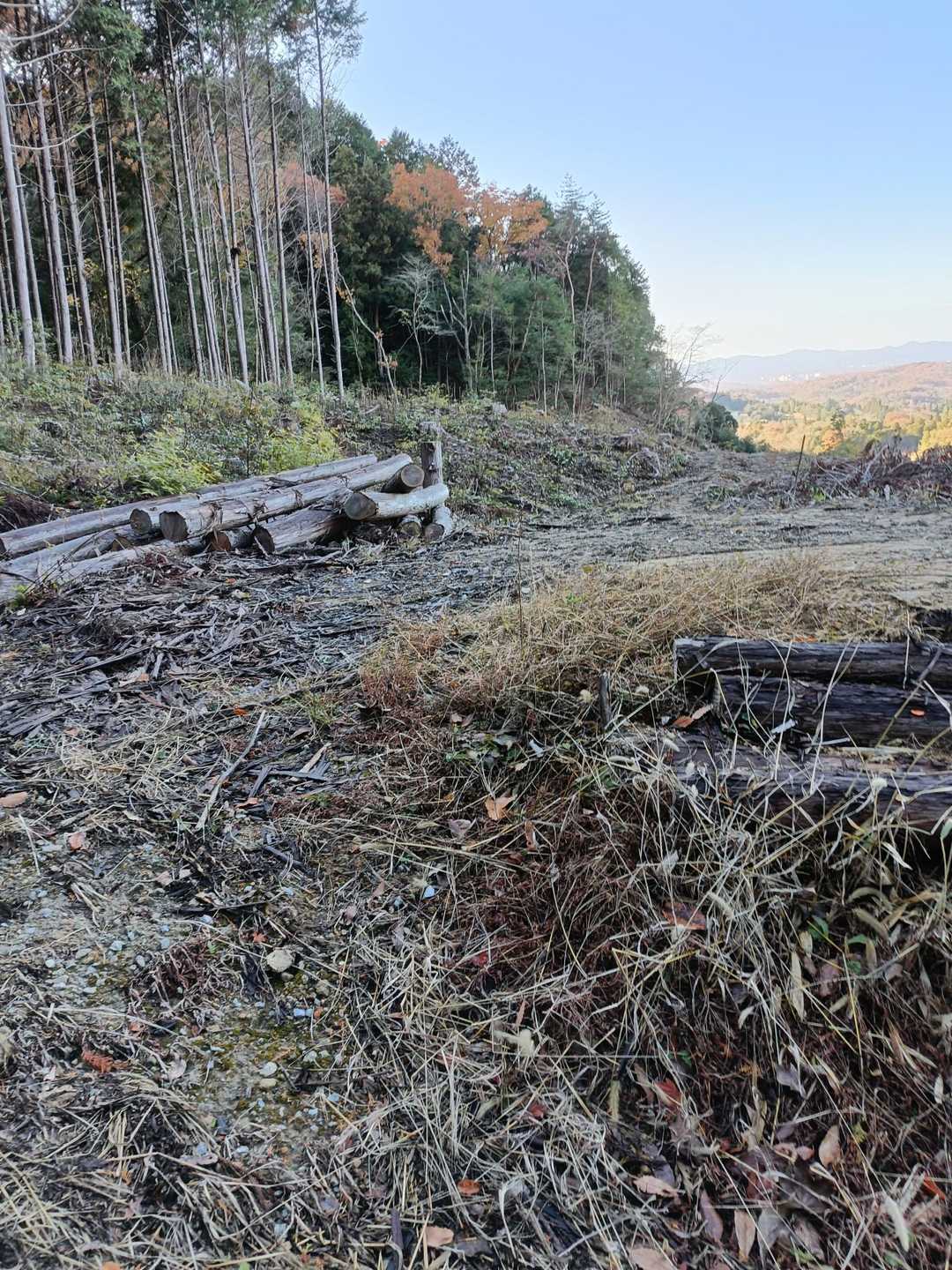 登山口のすぐ右手の木が切り取られて広い空き地になっていました。
何か建物が建つのかなぁ🤔