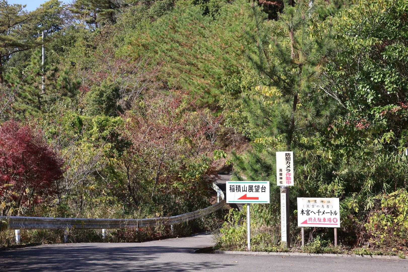 また車道に出て来ました。