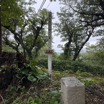三等三角点
