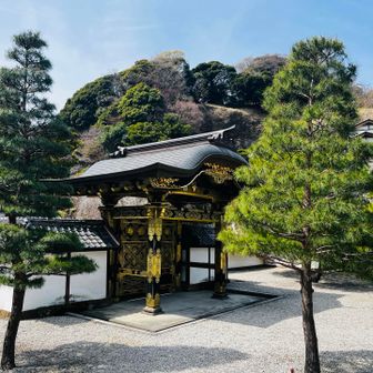 方丈（龍王殿）から