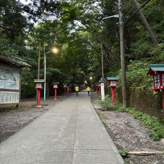 この時間は1号路もガラガラだ