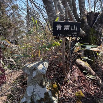 東峰から西峰への向かう道、バラエティにとんでます。
