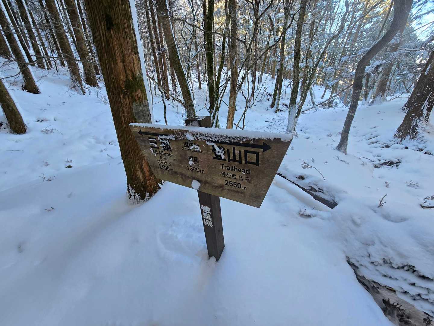 三嶺 往復コースの写真
