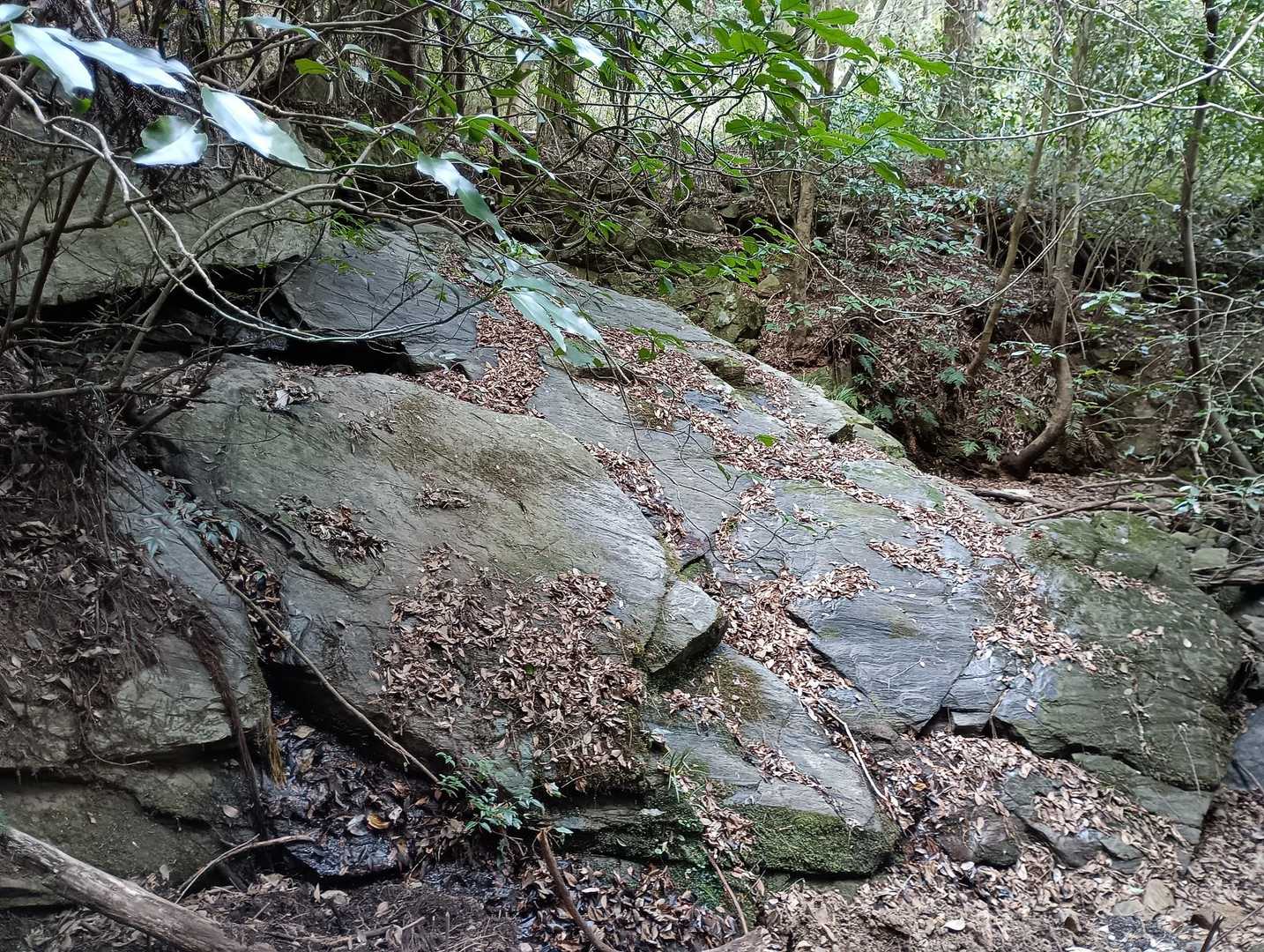 滝涸れ山水😑