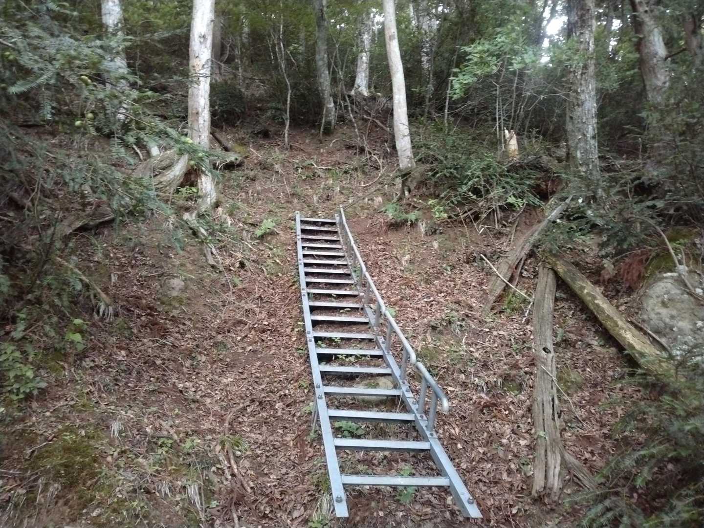 …ここも…