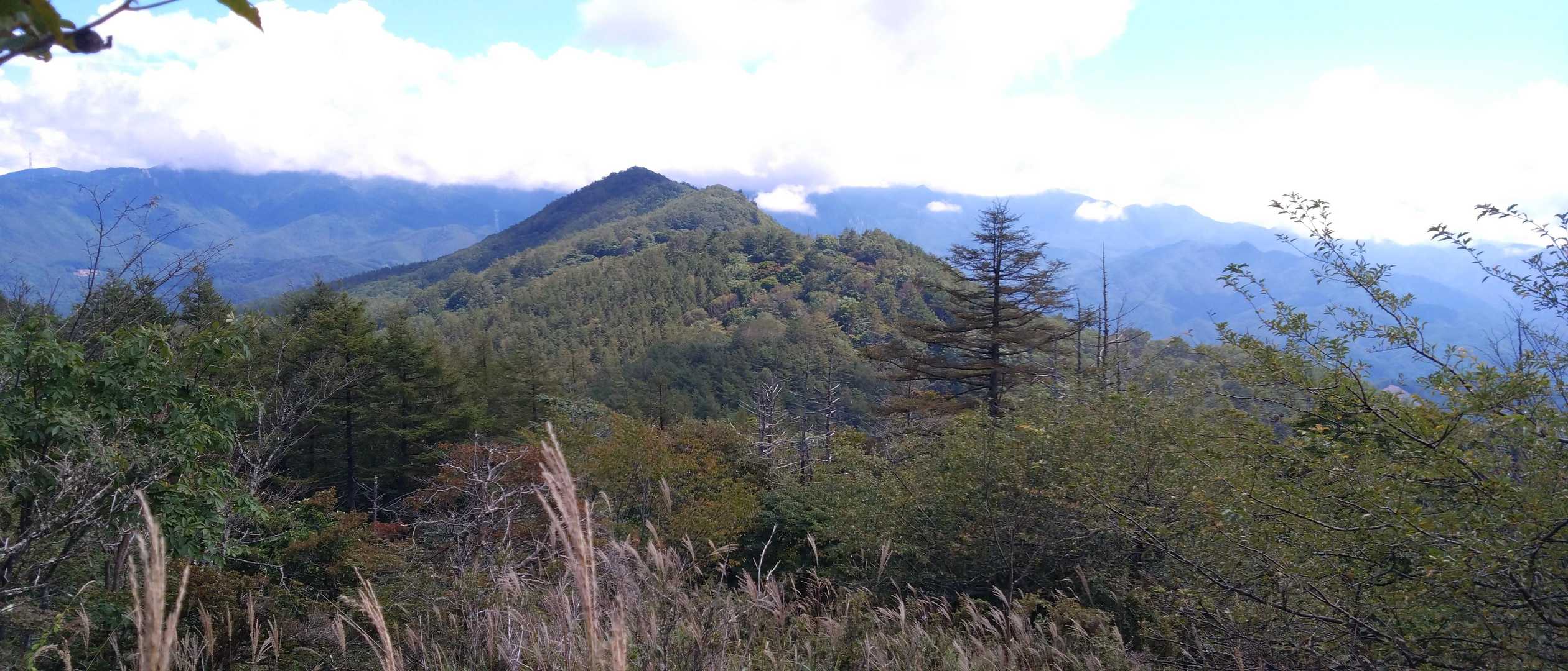 信州峠-横尾山-木賊ノ頭 往復コースの写真