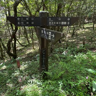 アザミ平