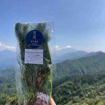 そして富士山とディル笑
今日の山メシはディルが必須！
なかなか売ってるところがなくて、スーパーや道の駅を数軒回ってやっと発見👍
登り出しの時間が遅くなってしまったけど、それでも欲しかったディル✨